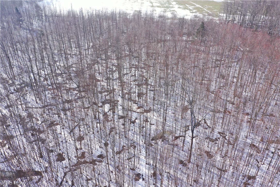 Connecticut Western Reserve - Land