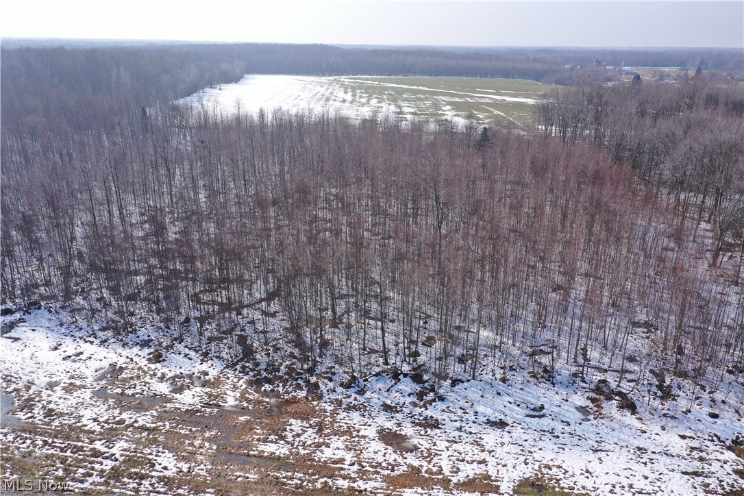 Connecticut Western Reserve - Land