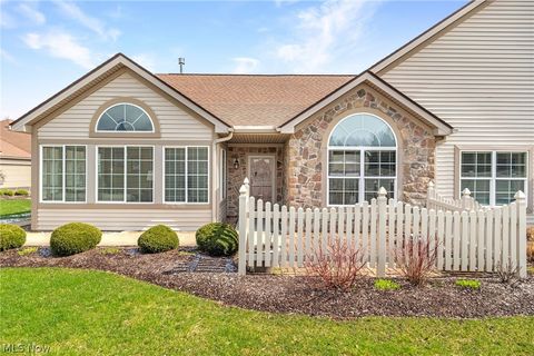 Condo For Sale - 1398 Newman Drive<br/> Medina County, Brunswick, OH 44212