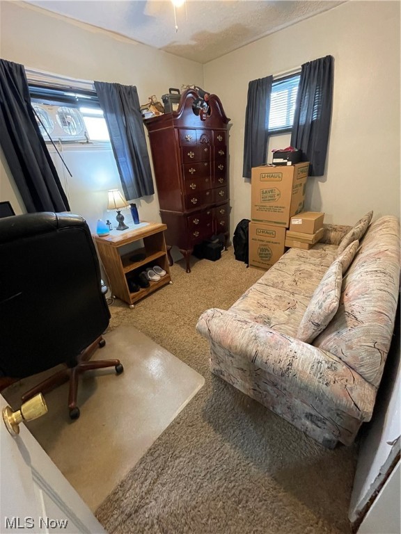 Garfield Park Overlook - Residential