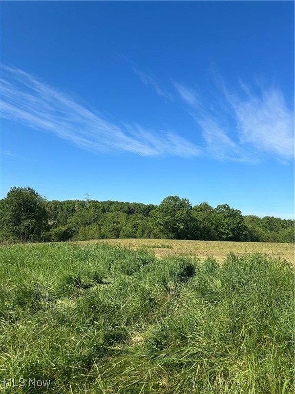 15381 Foundry Hill Road, Salineville, Ohio image 1