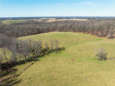 Vacant Land For Sale - 91100 Eckley Road<br/> Jewett, OH 43986