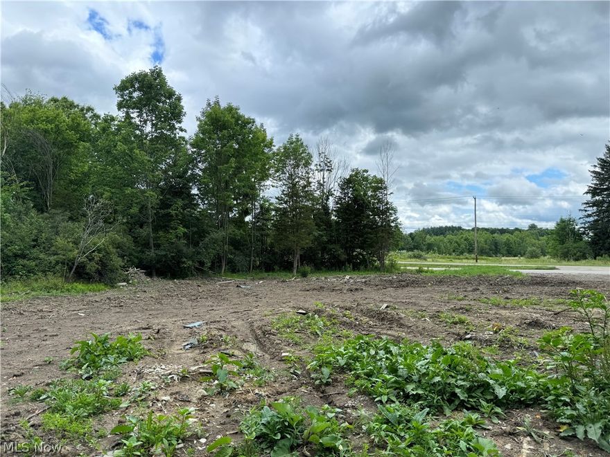Nice 10+ acre building lot. Recently timbered offering you many visible options to place your forever home. Or perfect for hunting and recreation.