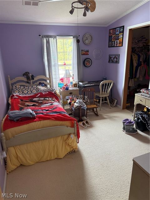 Tiny photo for 10200 Stamm Road, Mantua, OH 44255 (MLS # 5186327)