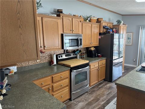 Tiny photo for 10200 Stamm Road, Mantua, OH 44255 (MLS # 5186327)