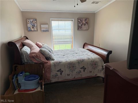 Tiny photo for 10200 Stamm Road, Mantua, OH 44255 (MLS # 5186327)