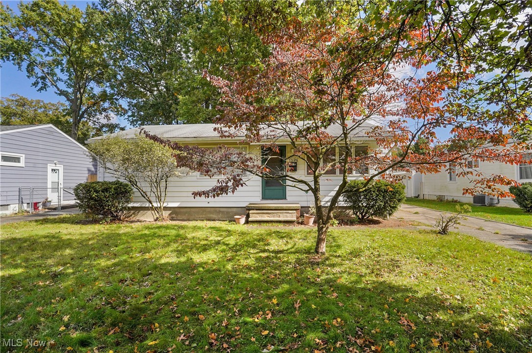 Mccourt - Residential
