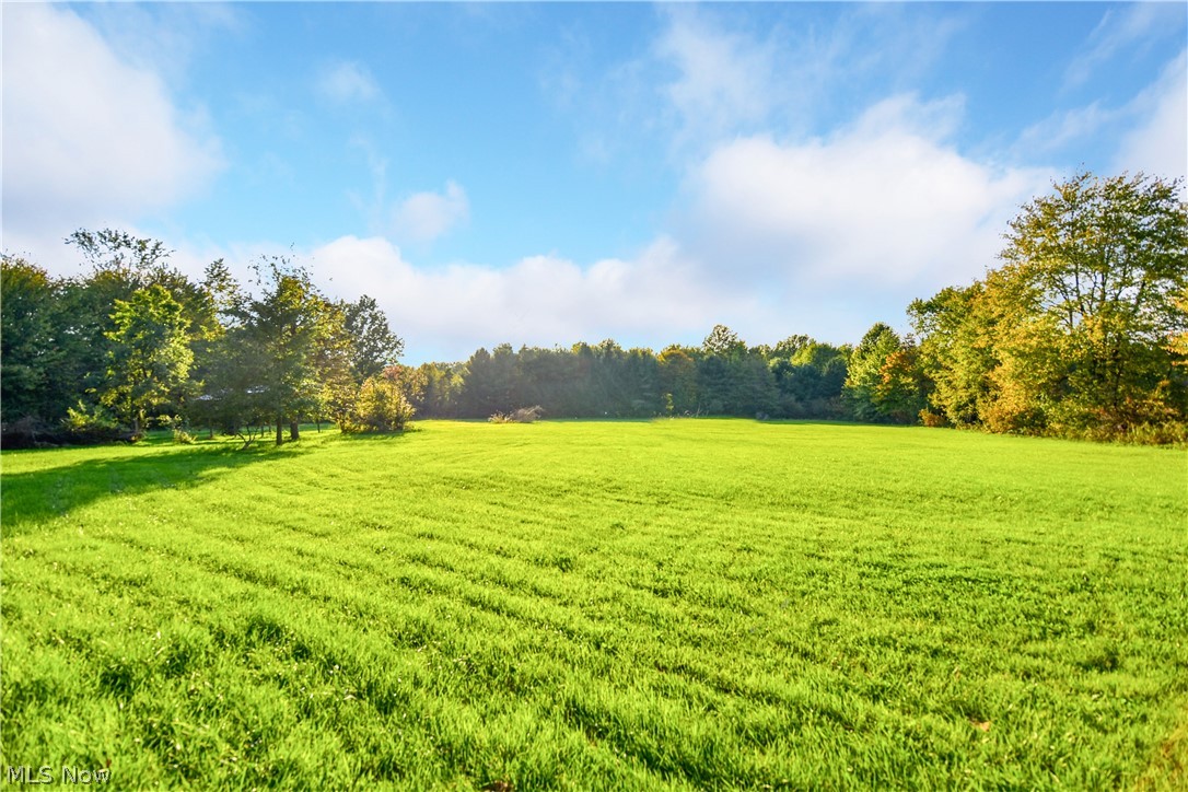 Fowler Township Original Surv - Residential