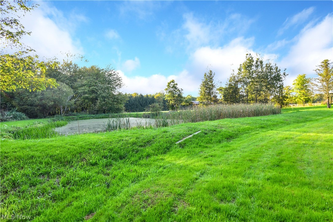 Fowler Township Original Surv - Residential