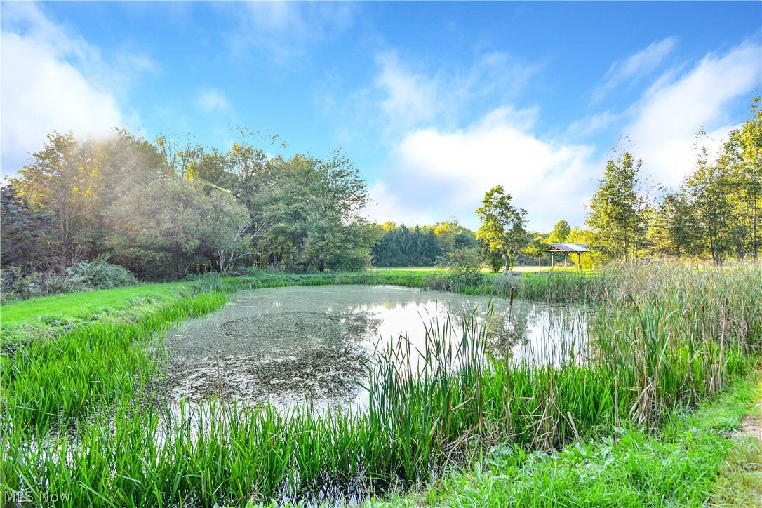 Fowler Township Original Surv - Residential