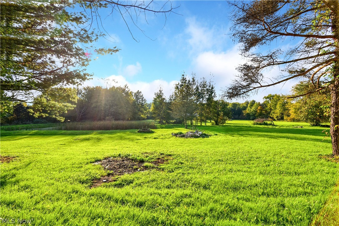 Fowler Township Original Surv - Residential