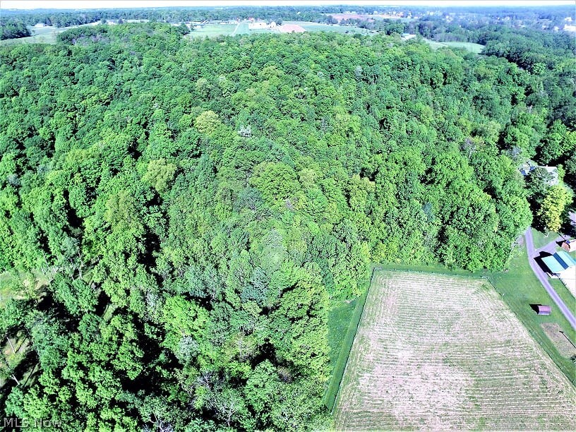 Mesopotamia Sec 51 - Residential