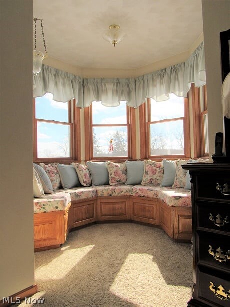 Mesopotamia Sec 51 - Residential