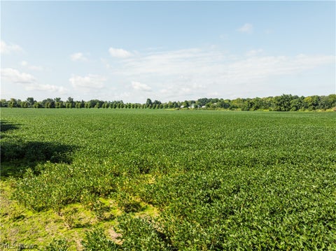 Vacant Land For Sale - Webster Road<br/> Centerburg, OH 43011