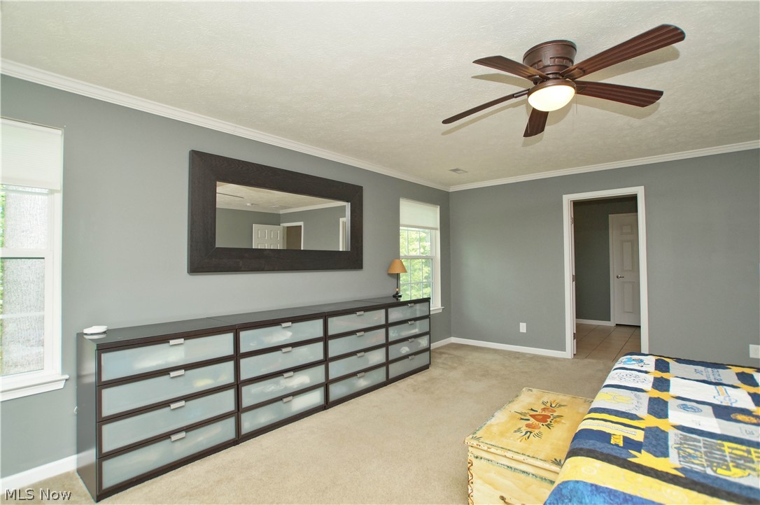 Meadows/Oakwood Ph 04 - Residential