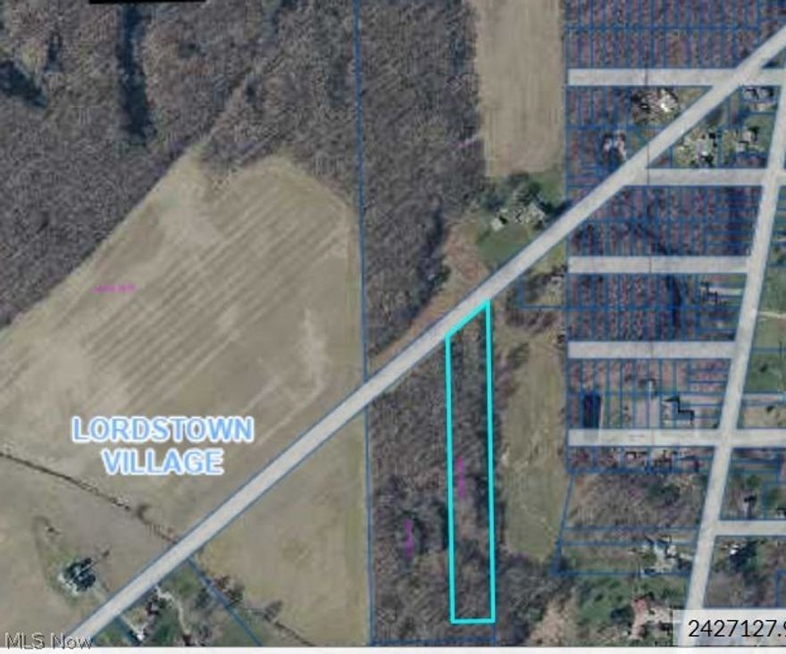 Exceptional Land Opportunity Lordstown, Ohio Trumbull County LSD.  3 Acre 163' frontage (Approx. 981 Deep from west border, 1082 from east border due to angle on front.)  Public water available at street.  Wooded with semi mature trees.  Owner states slight drop towards back of property. NOTE: newly constructed home directly to east.  Fantastic  central location with scenic farmland and winding roads. Online Auction, Opening bid: $15,000.  Close in 30 days upon seller confirmation.  $5000 deposit.  Any mineral rights transfer.  As a condition of bidding, buyer has reviewed all posted and public information and disclosures.  AS IS sale.  (note: pin survey not performed.  Location of any borders or easements would be based on auditors site and legal description. Preview property at own risk.  See auctioneers bidding site for additional information.  Auctioneers Note:  property has been in family for years.  Exceptional opportunity! (parcel does not have street address, Across the street and west of 936 Tate Rd, see sign)