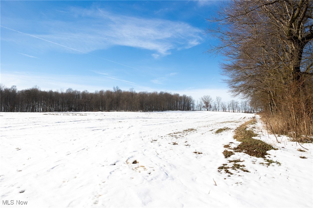 Barrs Street, Massillon, Ohio image 10