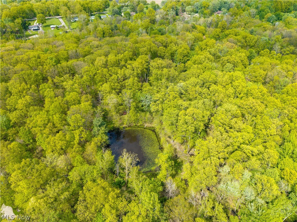 Ridgeville - Residential