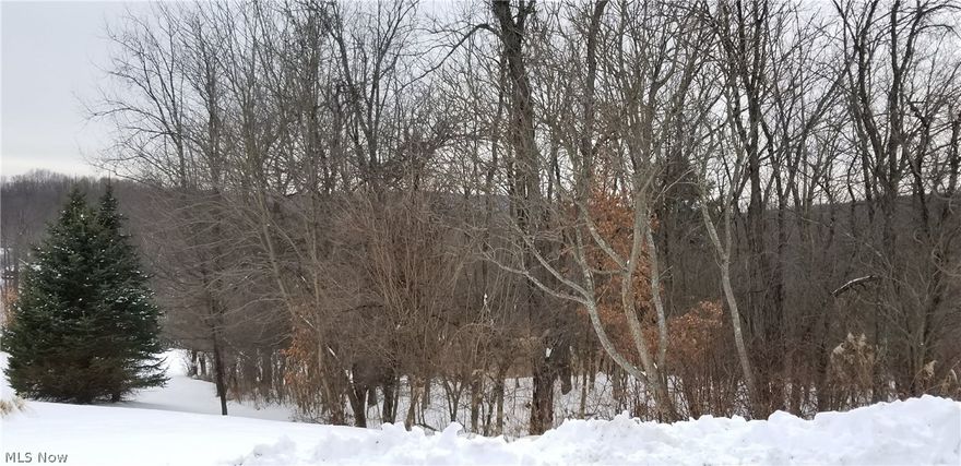 2.54 acres in Frederick Heights.  No well or septic system.  Mineral rights have never been sold, per owner.  They will transfer with property.  Property sits at the end of the cul-de-sac.