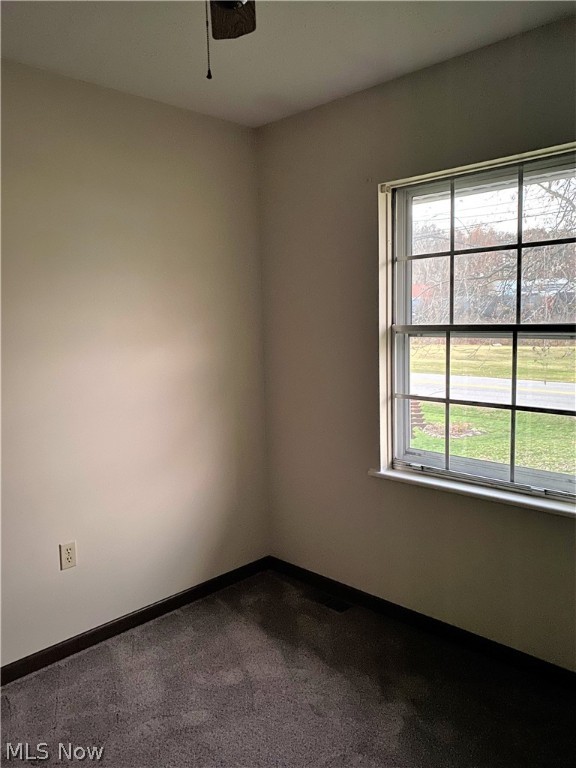 Avondale Allotment - Residential