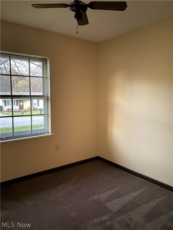 Avondale Allotment - Residential