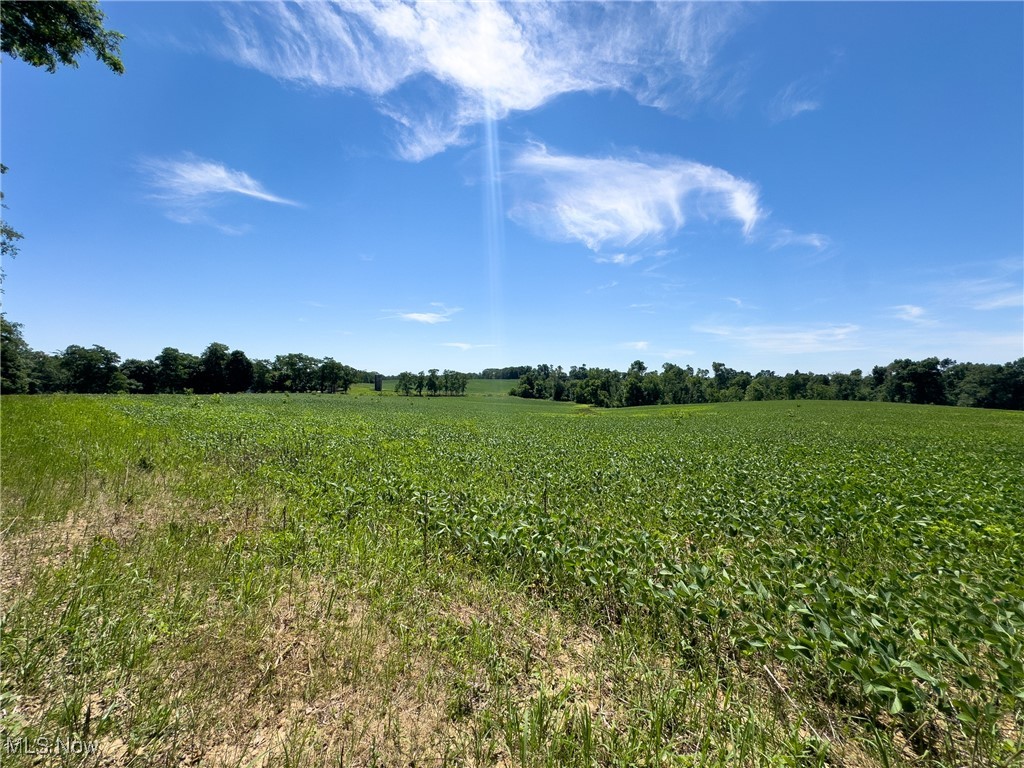 Parcel 3 Trapp Lane, Hopewell, Ohio image 3