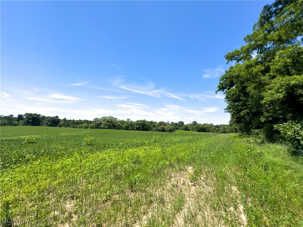 Parcel 3 Trapp Lane, Hopewell, Ohio image 2