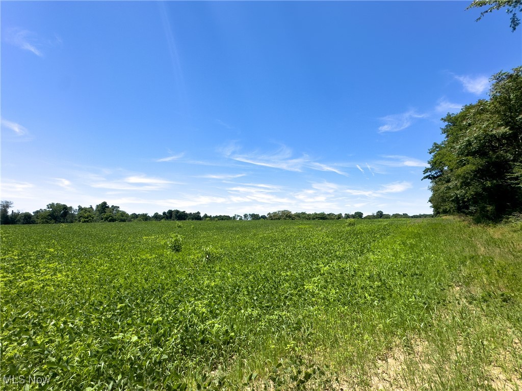 Parcel 3 Trapp Lane, Hopewell, Ohio image 1