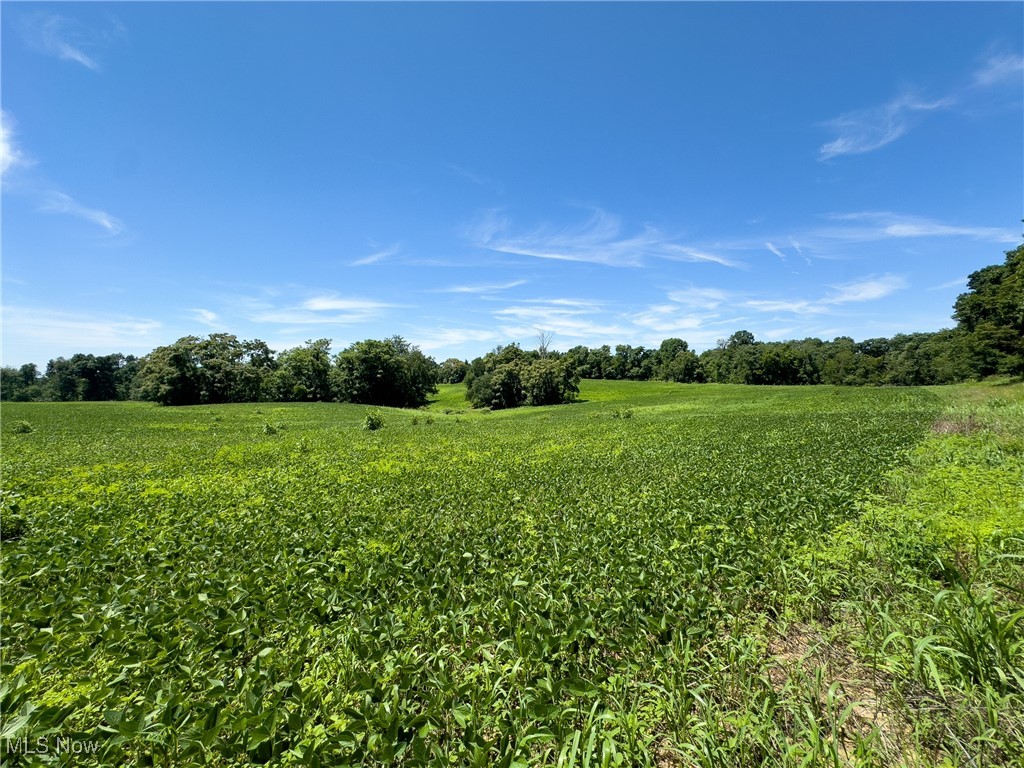 Parcel 3 Trapp Lane, Hopewell, Ohio image 4