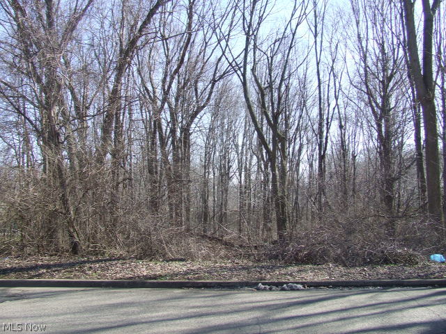 Fairlawn Heights Sect F, lot 217 - Land