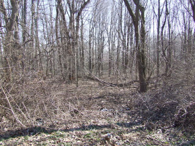 Fairlawn Heights Sect F, lot 217 - Land