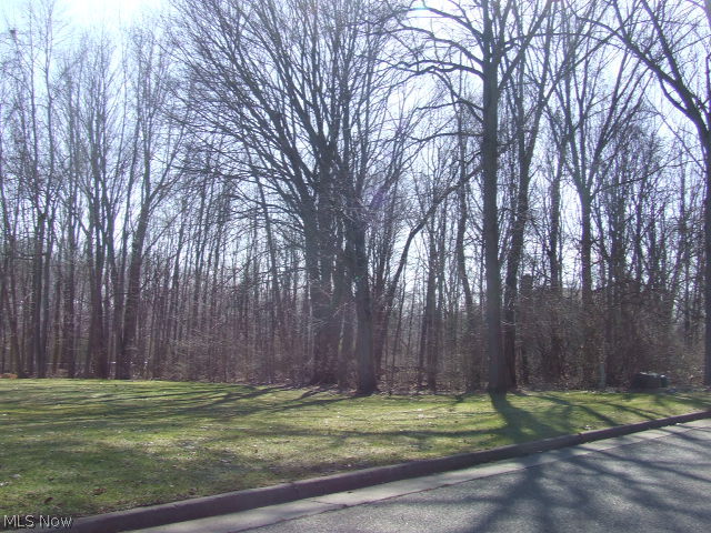 Fairlawn Heights Sect F, lot 217 - Land