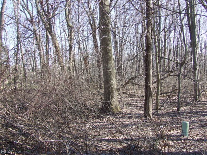 Rare 1/2 acre vacant lot in West Akron, surrounded by beautiful homes.  Level, wooded, utilities available.  Close to shopping and expressway, yet away from the hustle and bustle.  Waiting for you and your builder.