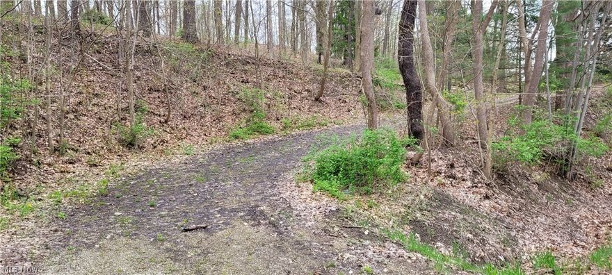 4.66 acres with multiple cleared building sites, well, septic, electric, and driveway already in place, as well as a 30’X40’ pole building and new retaining wall. This property is also loaded with mature trees creating nice shade and privacy. All this and located only minutes from downtown Wooster. Take a look today before its gone.