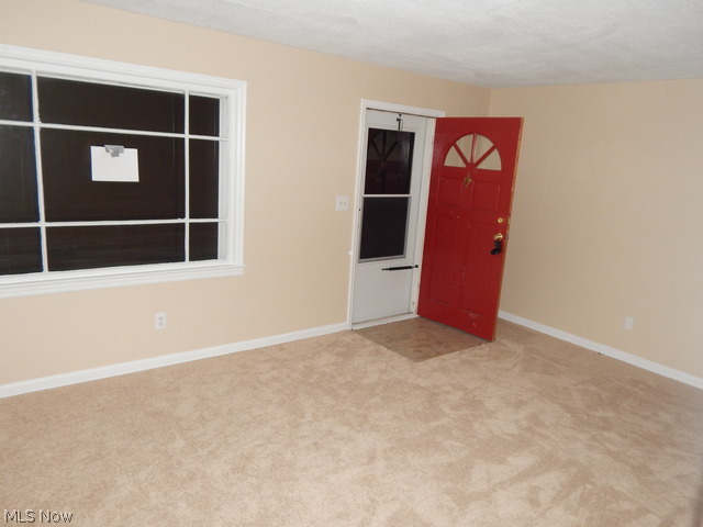 Collar Day - Residential