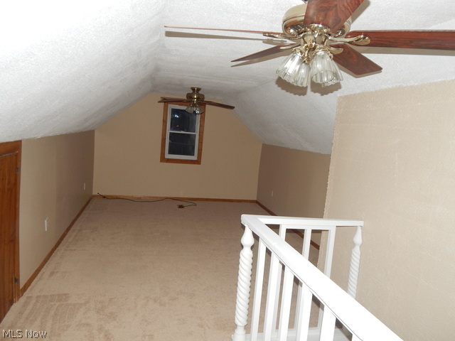 Collar Day - Residential