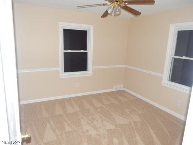 Collar Day - Residential