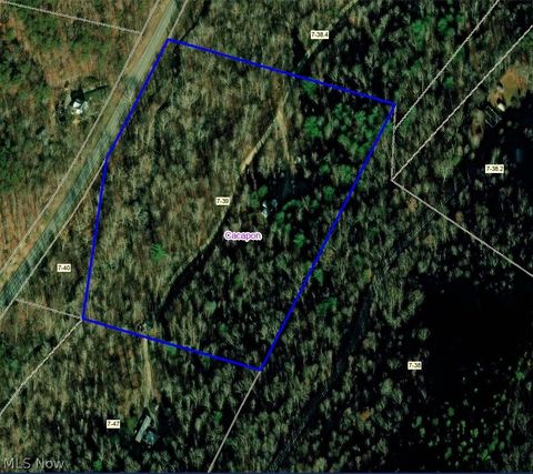 Vacant Land For Sale - 307 Rocky Pine Lane Ln<br/> Great Cacapon, WV 25422