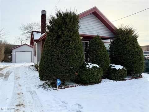 Photo of 3671 Oakwood Avenue, Youngstown, OH 44515 (MLS # 5179675)
