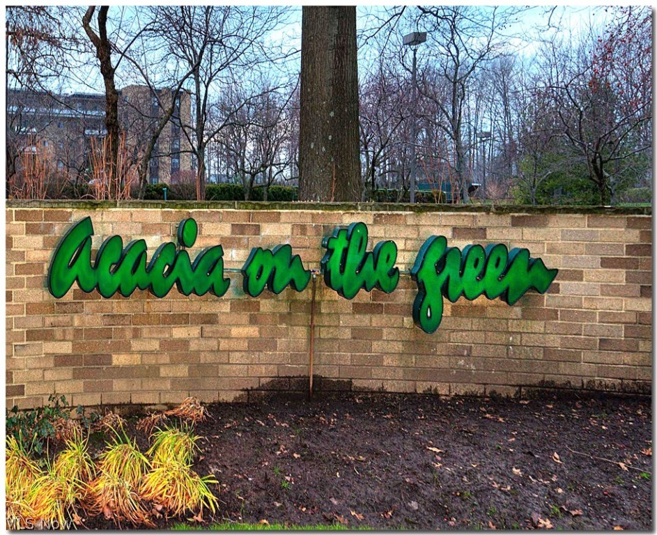 Acacia/Green Condo - Residential