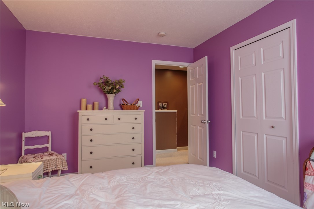 Bird Street Park - Residential