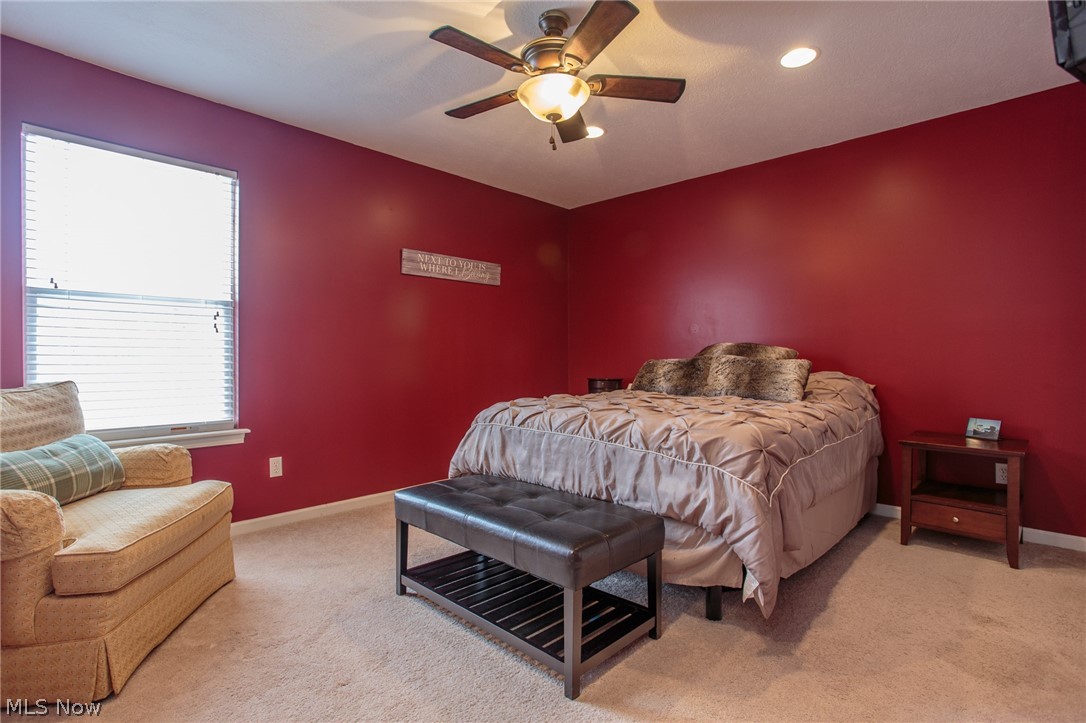 Bird Street Park - Residential