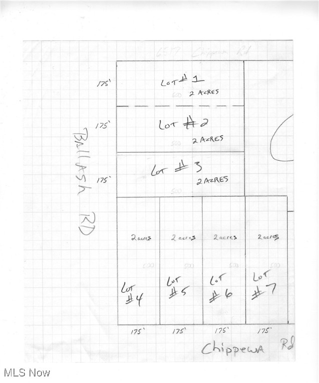 Lot #4 Chippewa Road, Chippewa Lake, Ohio image 10