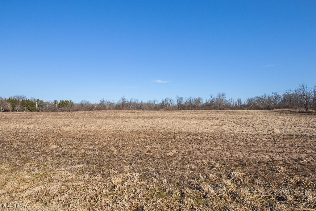 Lot #4 Chippewa Road, Chippewa Lake, Ohio image 8