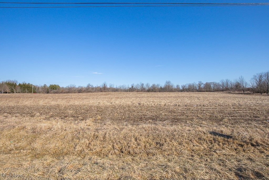 Lot #4 Chippewa Road, Chippewa Lake, Ohio image 7