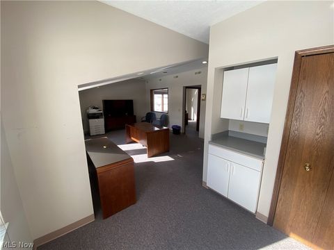 Tiny photo for 320 Orchardview Road, Seven Hills, OH 44131 (MLS # 5203536)