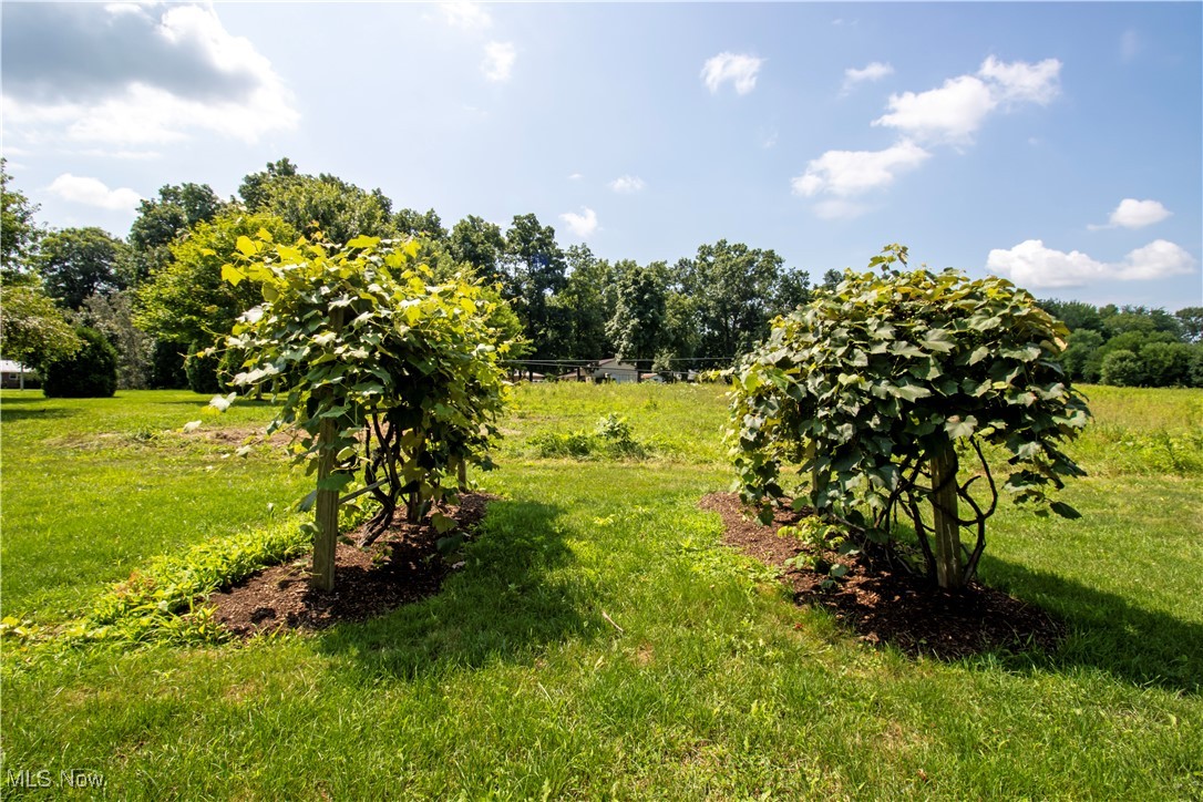 11349 Church Road, Orrville, Ohio image 33