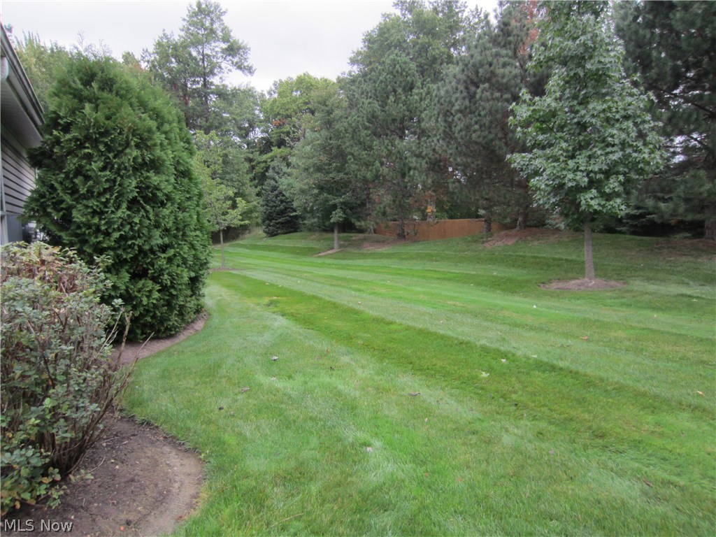 Orchard Park Condos - Residential