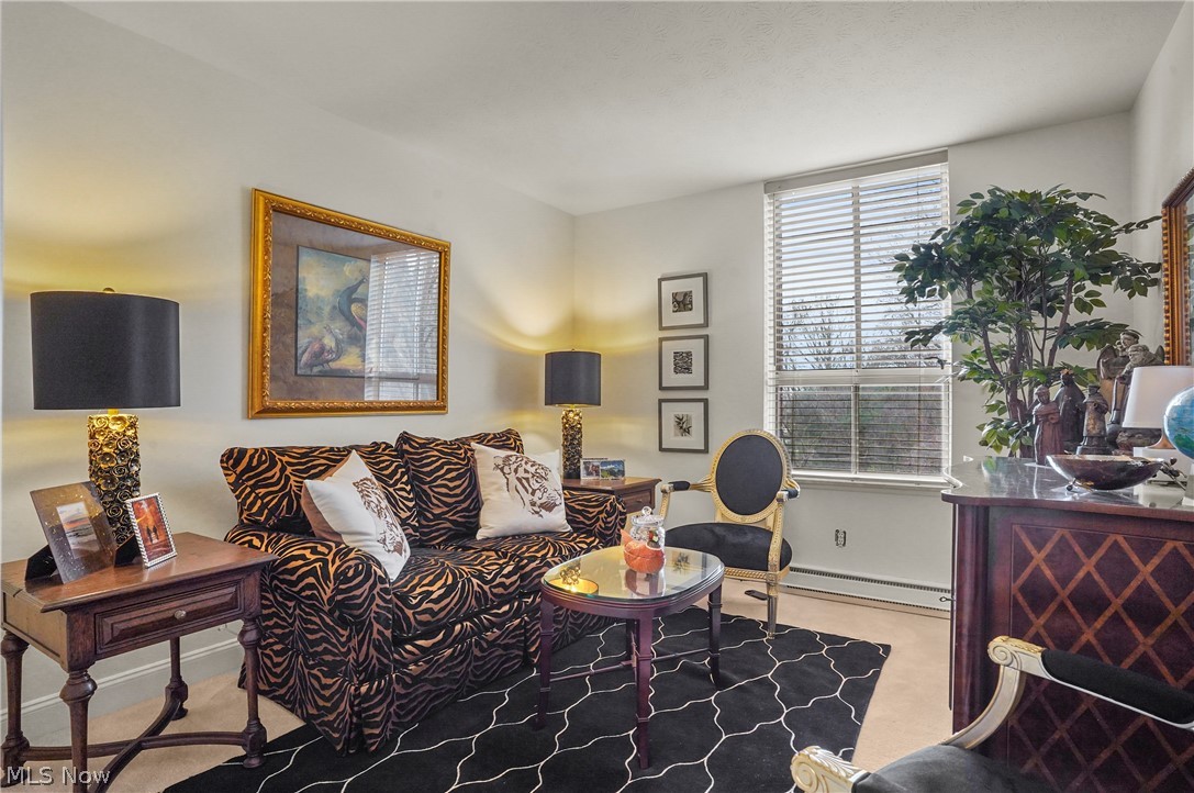 Silver Lake Towers Condo - Residential
