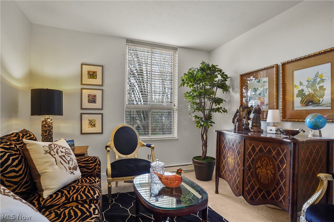 Silver Lake Towers Condo - Residential